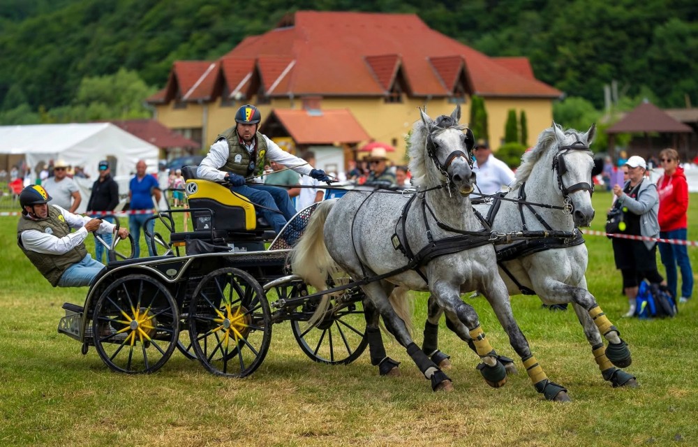 Rekordszámú fogat nevezett be az oltszemi fogathajtó versenyre